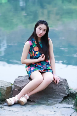 欧美一级毛卡片功能展示界面